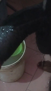 Tamil10 pulgadas - bbc golpeando masivamente la madera de la mañana