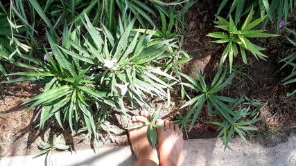 Fetish intimmedia: Milf con sexy pies fuertes al aire libre