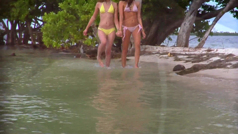 Femdom Sex: two couple have group sex at beach