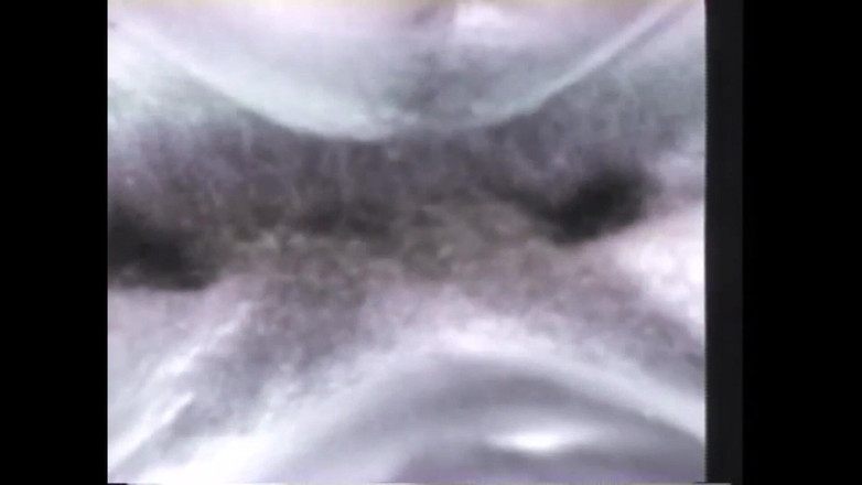 Vintage Megastore Full hd: 欲望的傻瓜们