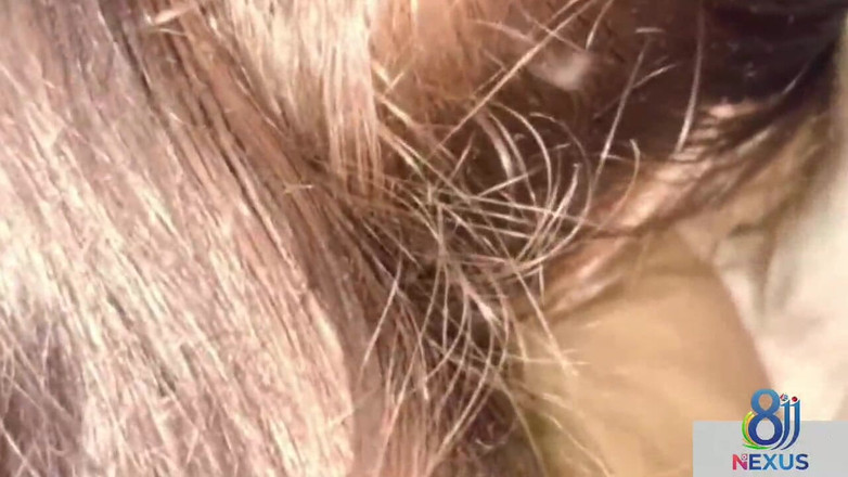 Desigirl0000: Vidéo De Sexe D’un Petit Ami Desi Et D’une Copine