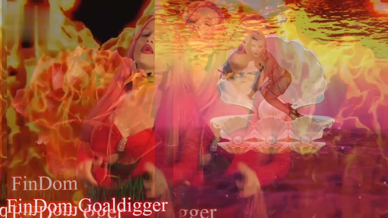 FinDom Goaldigger: Düşük IQ