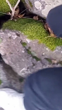 Sevimli adam Jon Arteen en ateşli işeme anlarının bu derlemesinde açık havada işiyor