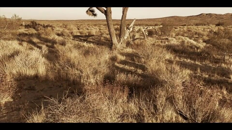 Reese Rideout: Mesin Cactus Time