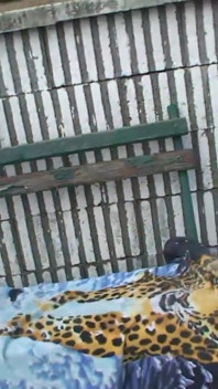巨大なおっぱいを持つ金髪の熟女が屋外で犯される