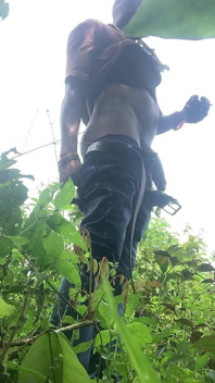 Gozada rápida depois de uma longa caminhada na floresta