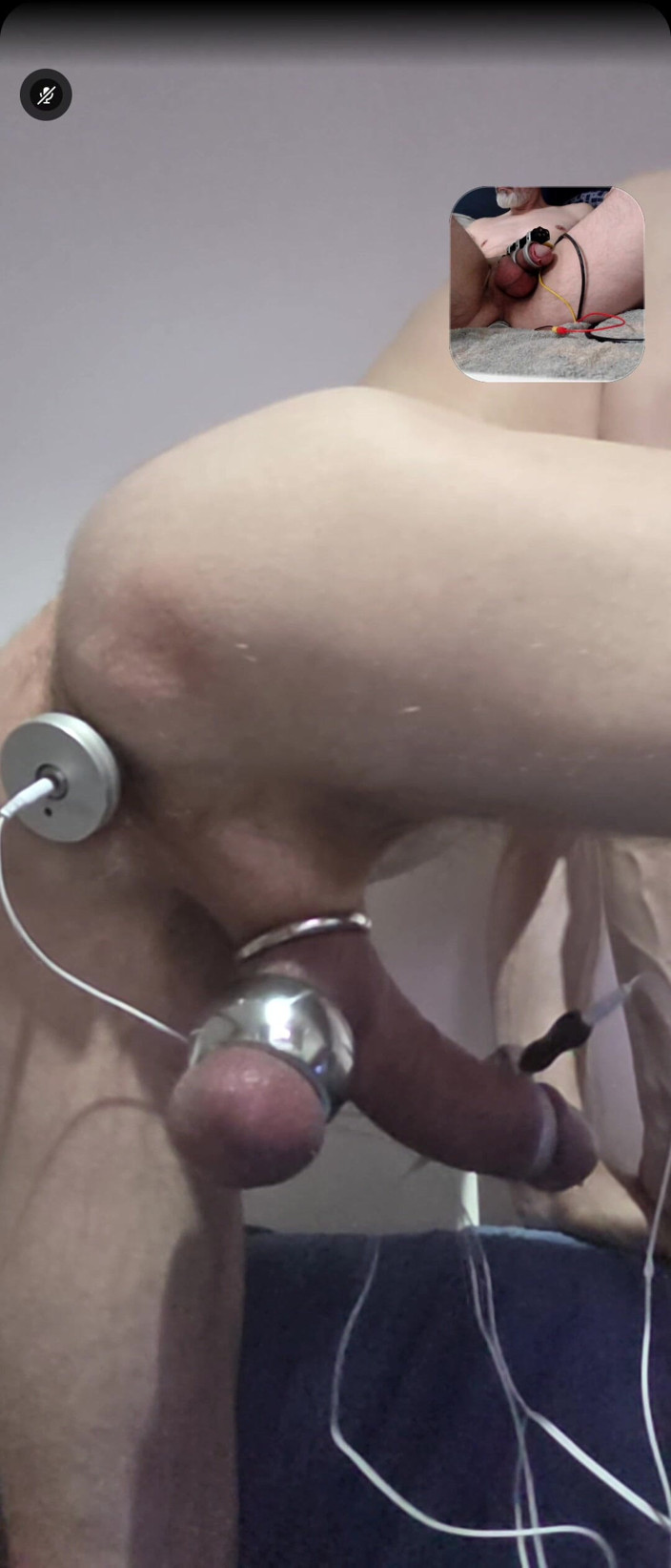 Prostatecumer: The Pet Loves to Be Gutted by a Stranger so...