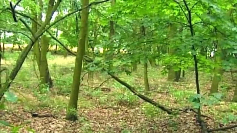 NAUGHTYPOLSKA: Lengua de bbc estira el coño rubio en fiesta de...