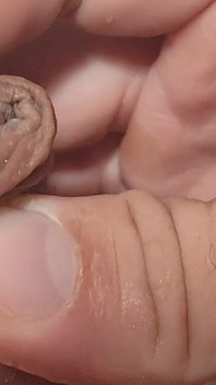 Rough Straight Grandpa Has a Gland Flooded with Cum.