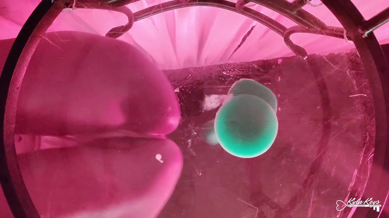 Kyla Keys: नीचे से एक दृश्य