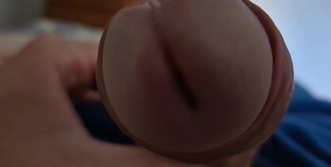 Lkdick8: A Close up of My Dock's Head