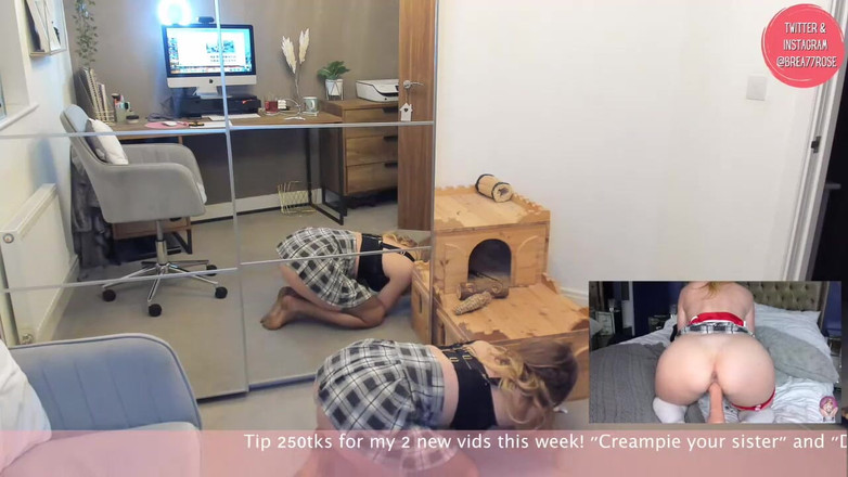 Brea Rose: Mv Ocenění Vítěz tomboly