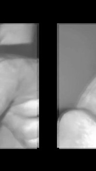 Famoso Streamer De Polla Monstruosa Se Olvido Su Webcam Encendida
