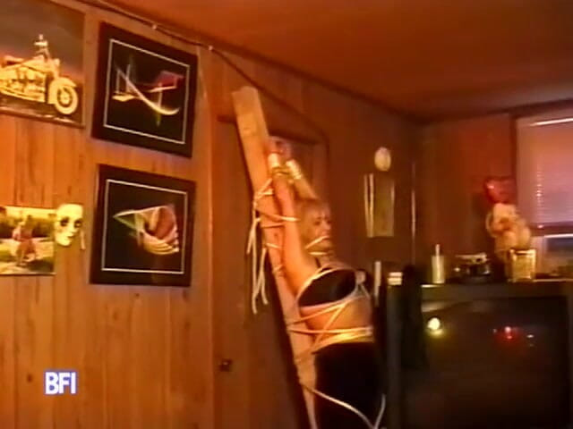 Art of Bondage: The hardcore ultimate bondage 17