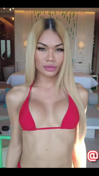 Who's Ready the Incredible 5ft5 Asian Dream That Is