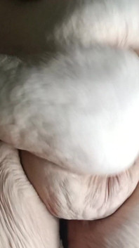 I Want That Cock Now