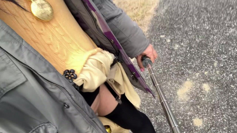 megu2002: 자가 훈련 No. 33 고속도로를 따라 걷는 새는 산책