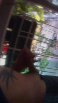 Love to Cum to Traffic