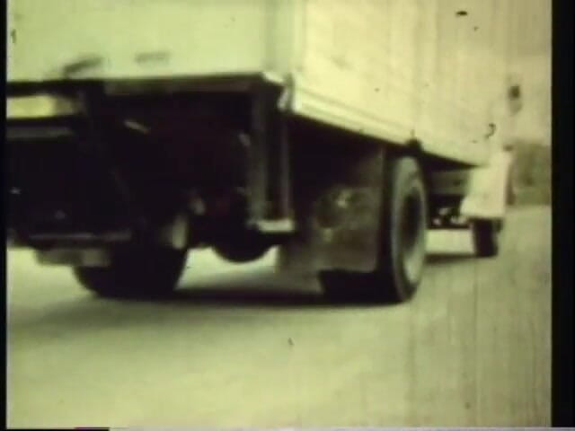 Vintage Usa: Chlupatá kočka ošukaná černým chlápkem