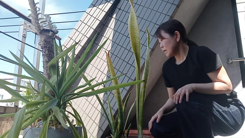 Mayumi Kanzaki: Попісяйте в горщик у рослині