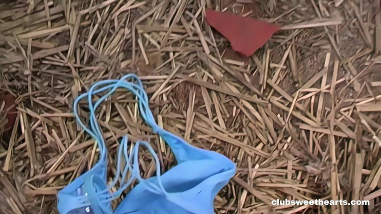 SweetHeartsClassic: Dvě lesbické teenagerky na farmě, předělané