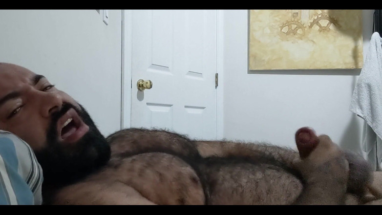 Lobo: Un'esperienza sensazionale