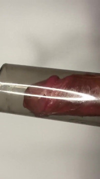 Sát a uvolňovat, tato pumpa na penis cvičí mého ptáka tím, že ho saje a vyhodí ho ven