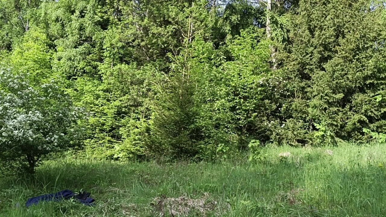 kickerscooter: Masturbating Outside in the Woods Completely Naked, Huge Cumshot