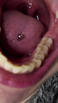 Mouth Tour 4K