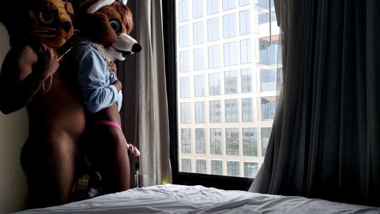 PawgrammerSocks: Femboy Furry Furry Fursuit เย็ดหลังเปล่าต่อหน้าหน้าต่าง