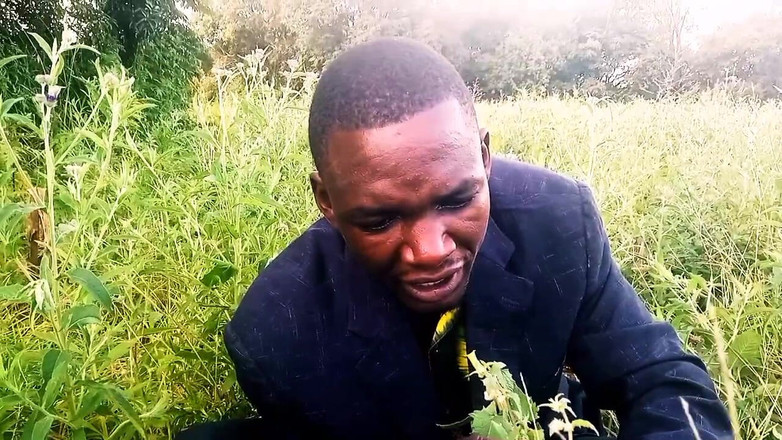 Judith xxx: New Love में