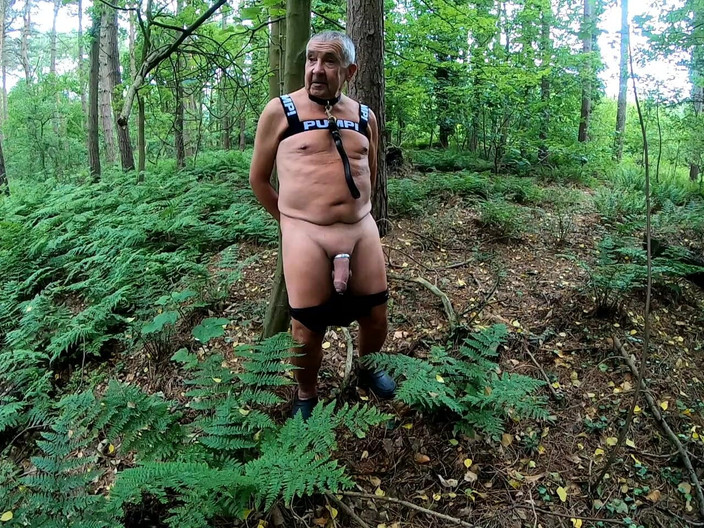 Andy: Часть 1, прогулка 30