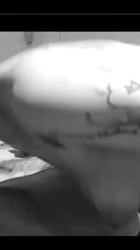 Black and White Moment of Blowjob
