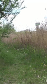 Upokorzenie Lezdom