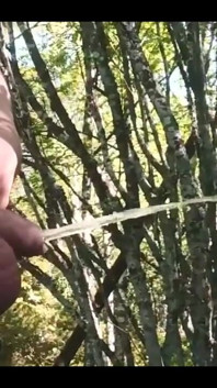 Pissing Outdoor