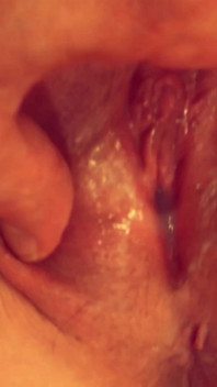 Babička Carmen Claus: Santův pryč, tak budu kouřit, šukat a sleigh Někdo pro creampie!