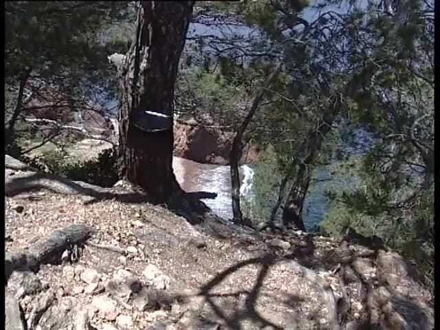 EroticPlanet XXX: 금발의 해안 열정 프랑스 리비에라 섹스 페스트