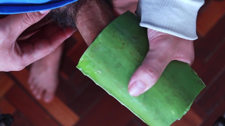 MGEc21: Використовуючи Алое Віра як штучну