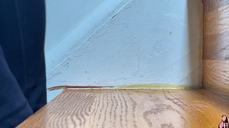 Pink Foxx: Camminando Su E Giù per Le Scale