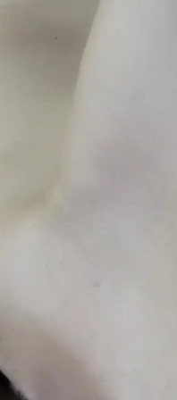 Video_20240707_111703_1