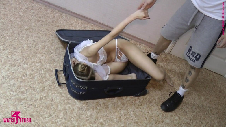 Dollrotic: ความสนุกของ Ragdoll ที่น่าทึ่ง