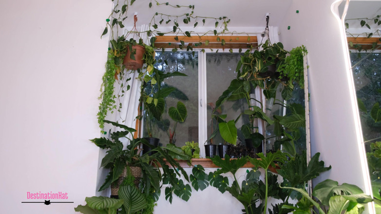 Destination Kat: Creamy Princess Pussy