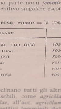 Cô giáo đồng tính latinh