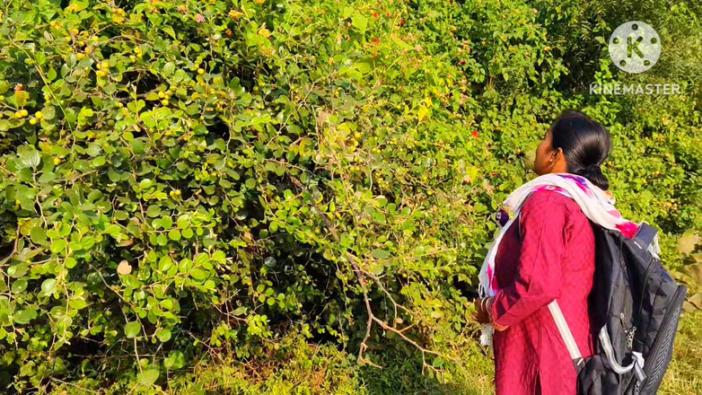 Premi pooja: Dorf-desi-sex