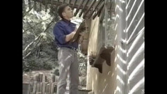 Bisco Birchwood Productions: 下流的大奶子人妻被吐口水！