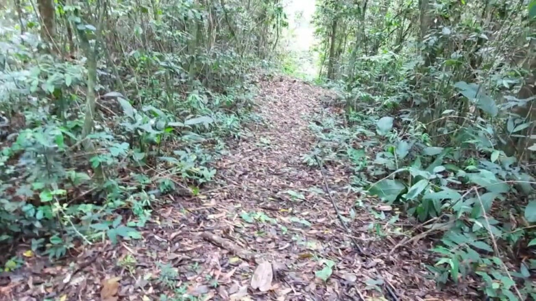 Novinha Insaciavel: Une pute sur la piste suce une bite et un...