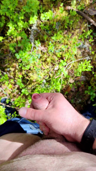 Horny in Forest