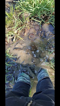 Mud Fun in Rubber Camo Wellies