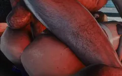 Porn with Rtx on (part 6) Animation