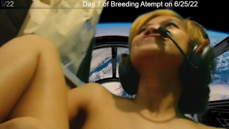 SexyGamingCouple: Giorno 7 tentativo di allevamento moglie - SexyGamingCouple